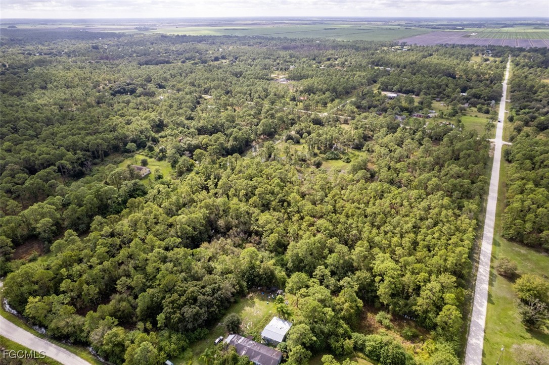 2201 Riviera Avenue Clewiston, FL 33440 - Photo 25 of 31 a view of a green field with lots of bushes