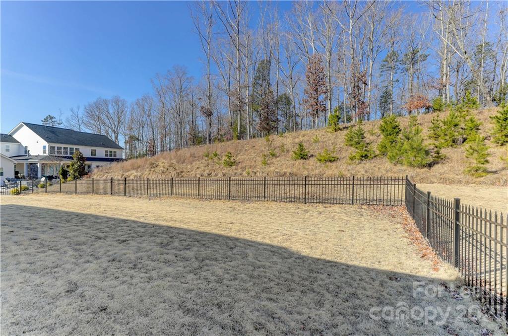 570 Crawfish Drive Fort Mill, SC 29708 - Photo 38 of 48