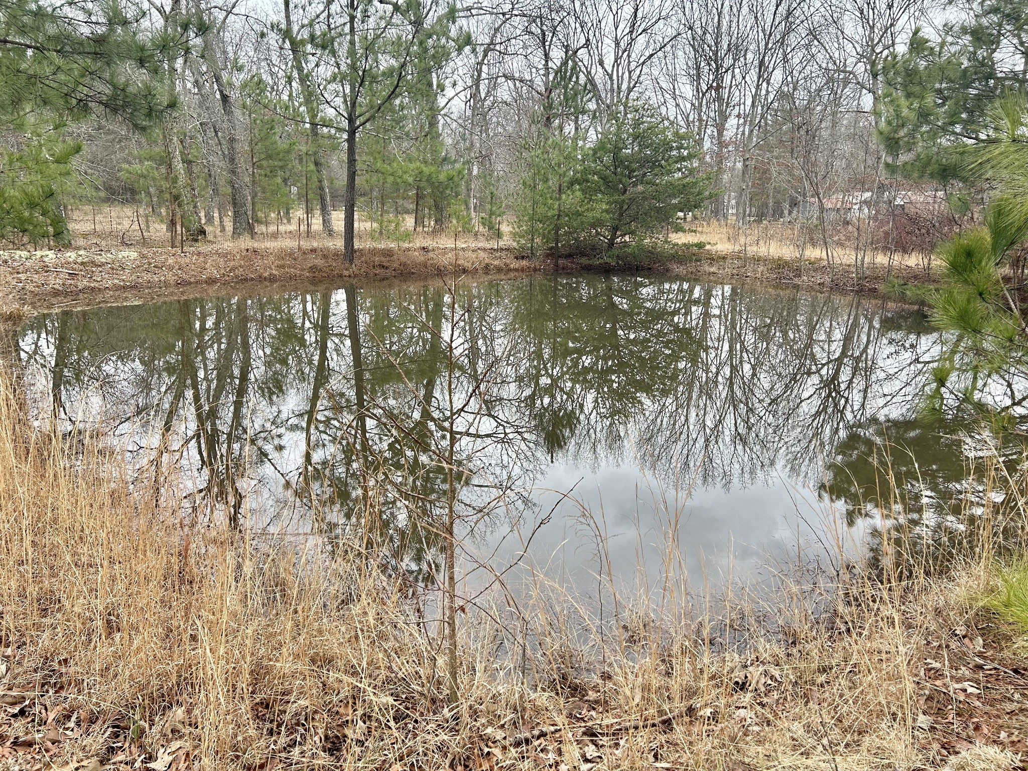 0 Wright Road Manchester, TN 37355 - Photo 1 of 10 a view of lake with a tree