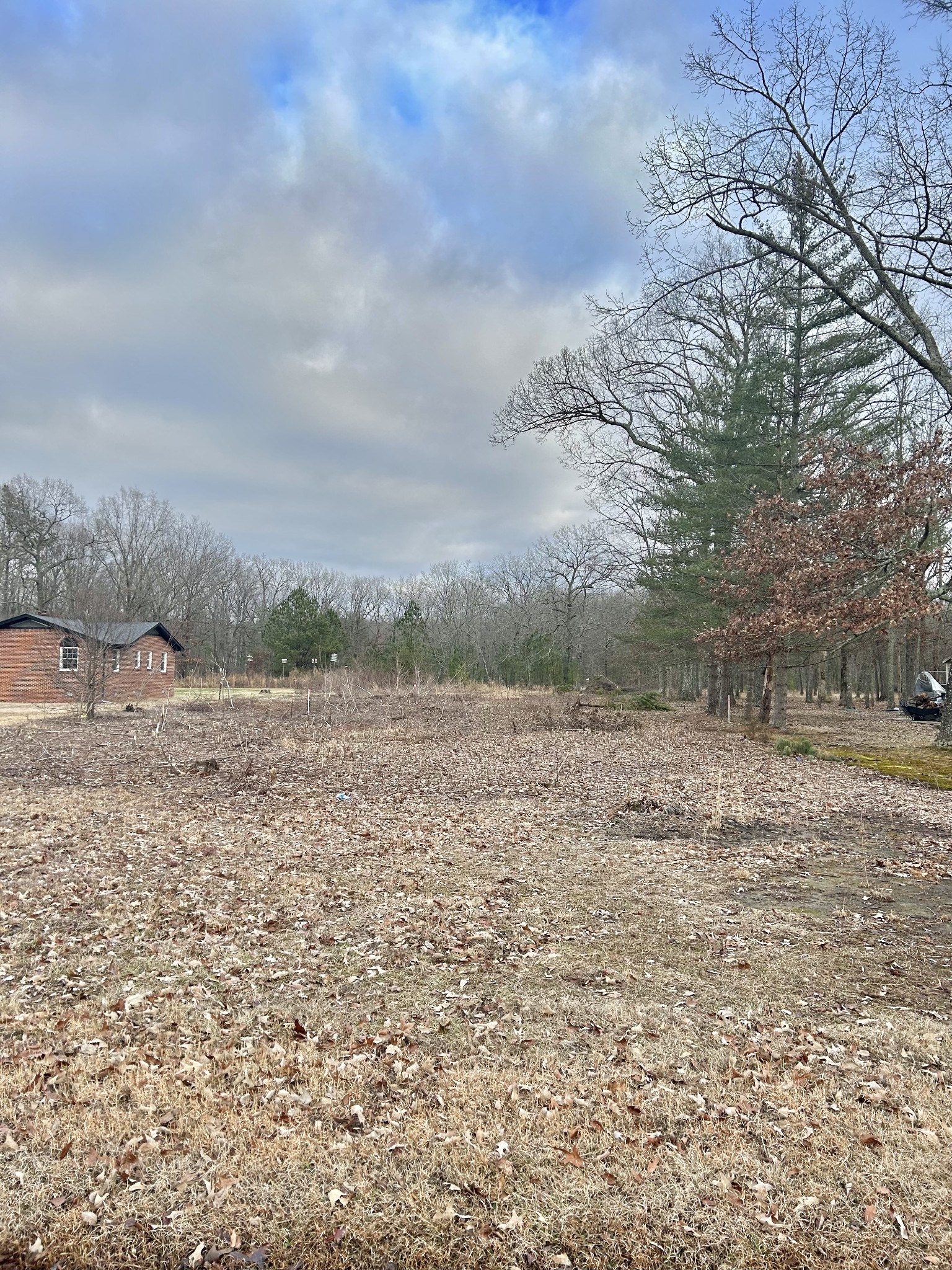 0 Wright Road Manchester, TN 37355 - Photo 3 of 10 a view of a dry yard with trees
