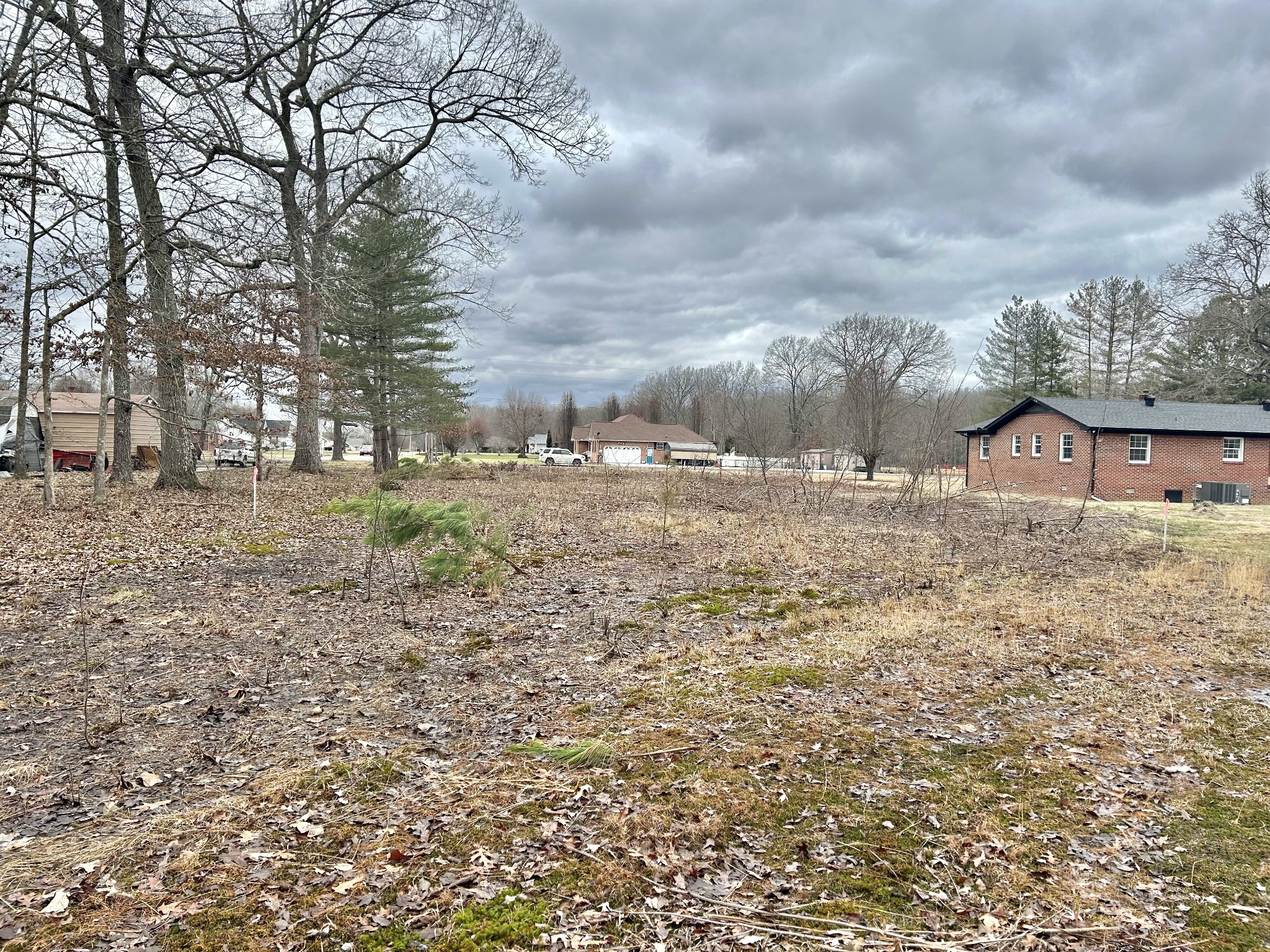 0 Wright Road Manchester, TN 37355 - Photo 5 of 10 a view of back yard of the house