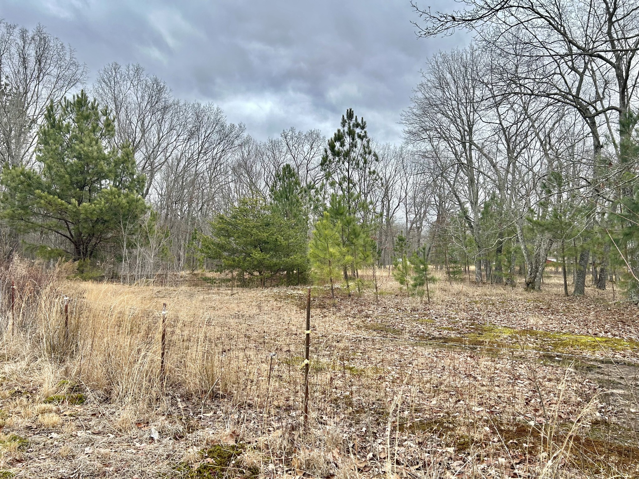 0 Wright Road Manchester, TN 37355 - Photo 6 of 10 a backyard of a house with lots of green space