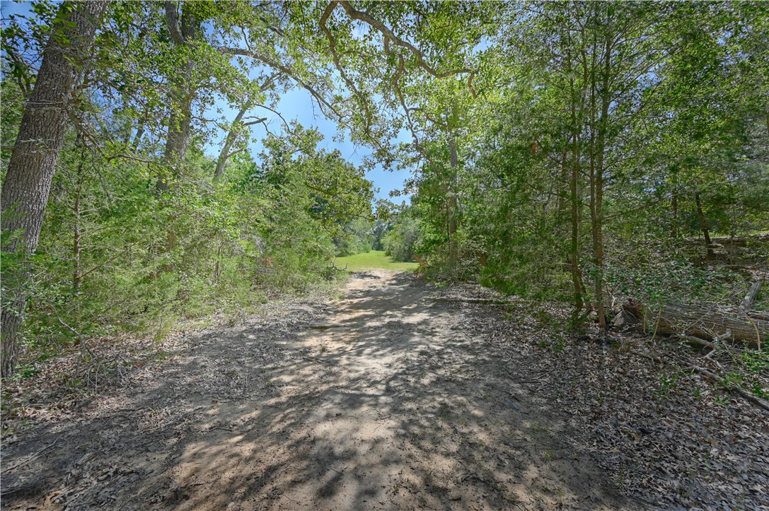 8595 Jared Road Bellville, TX 77418 - Photo 42 of 45 Trail view