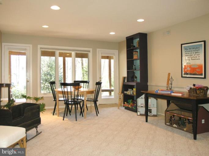 1602 North Village Road Reston, VA 20194 - Photo 23 of 30 Basement #3