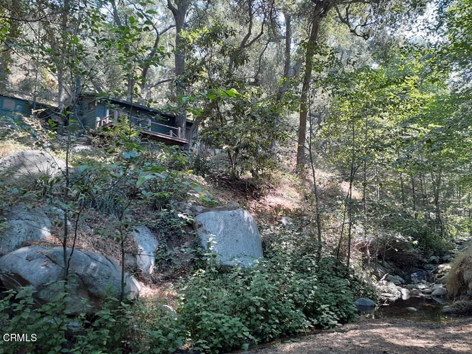 a backyard of a house with lots of green space