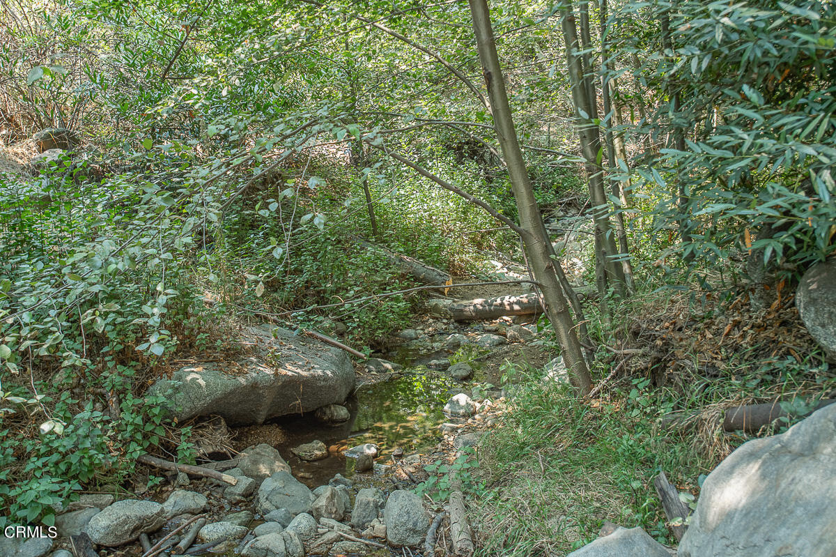 Undisclosed Address Altadena, CA 91001 - Photo 19 of 23 a aerial view of a forest with lots of trees