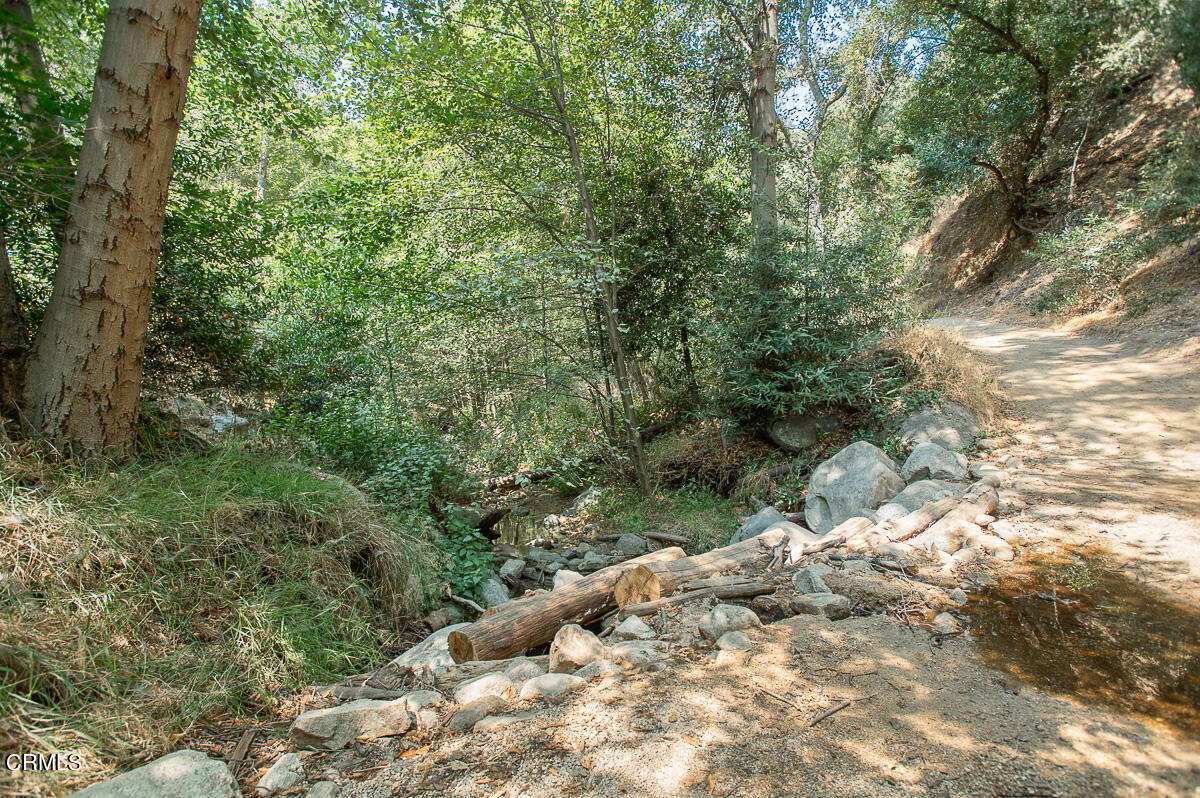 Undisclosed Address Altadena, CA 91001 - Photo 21 of 23 a view of a tree with a yard