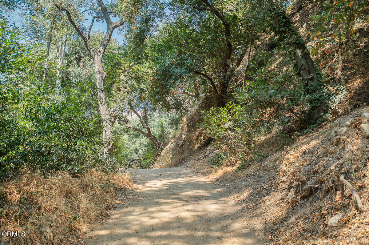 Undisclosed Address Altadena, CA 91001 - Photo 22 of 23 a view of a yard with a tree