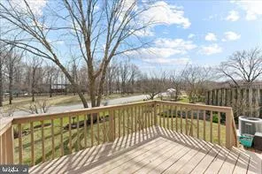 a view of a wooden deck with large trees