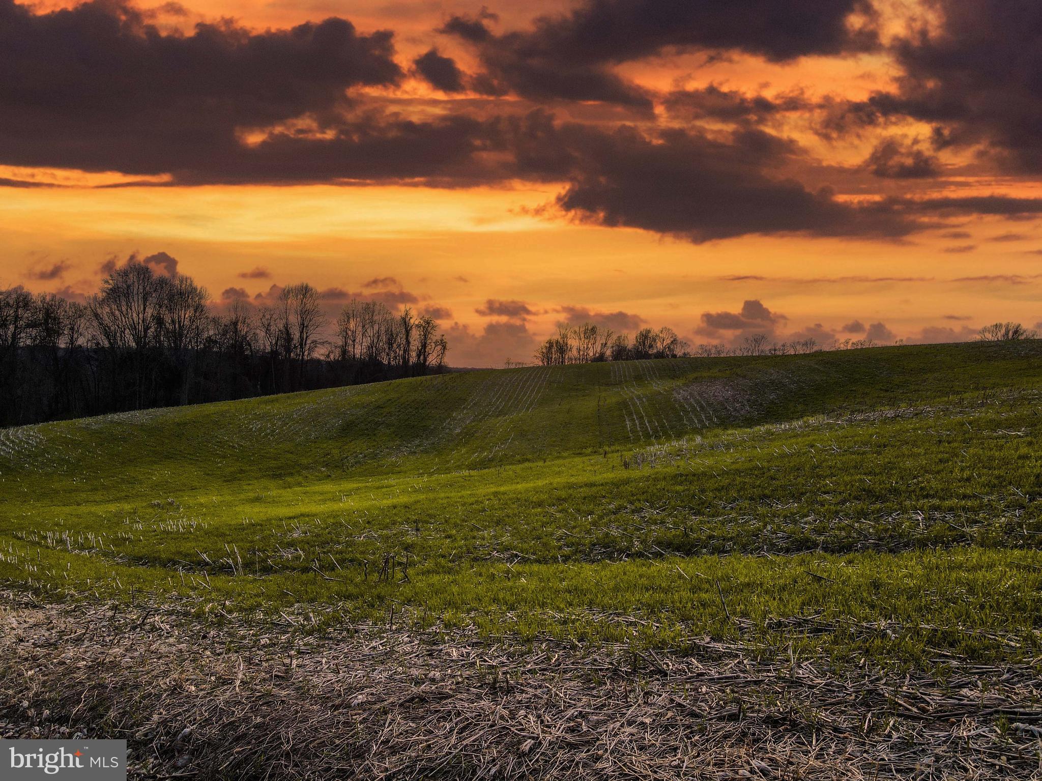 Bluemount Road Monkton, MD 21111 - Photo 4 of 13