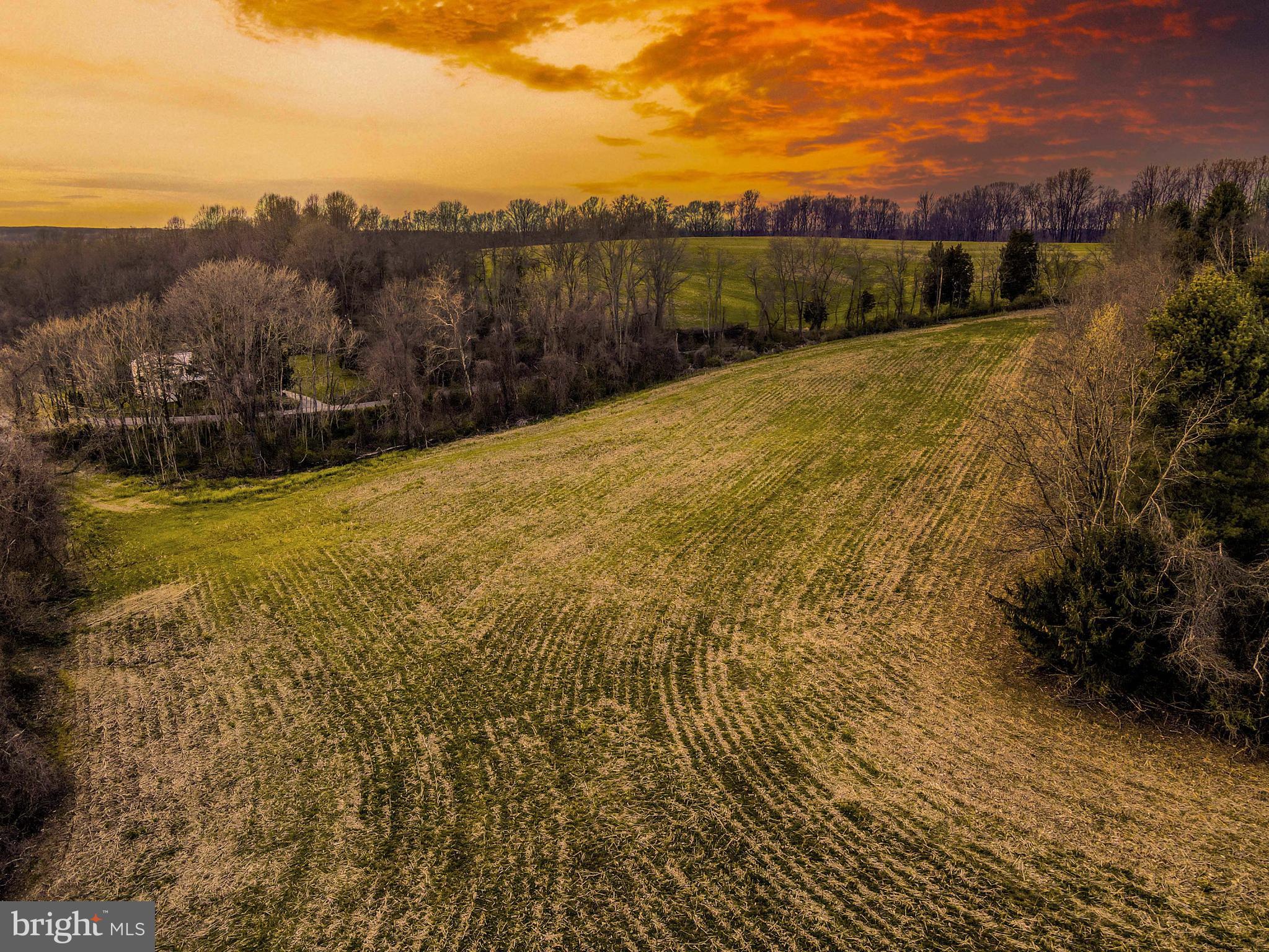 Bluemount Road Monkton, MD 21111 - Photo 6 of 13