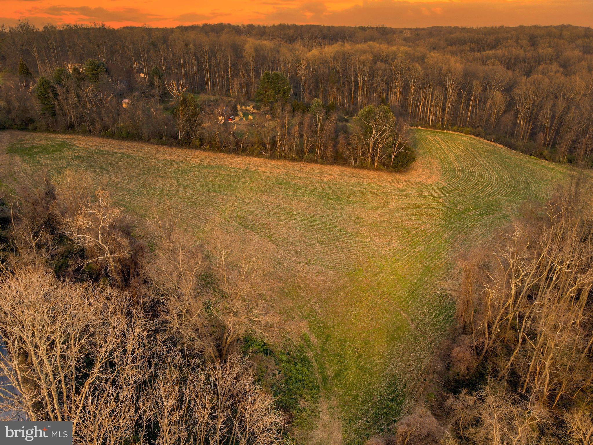 Bluemount Road Monkton, MD 21111 - Photo 8 of 13