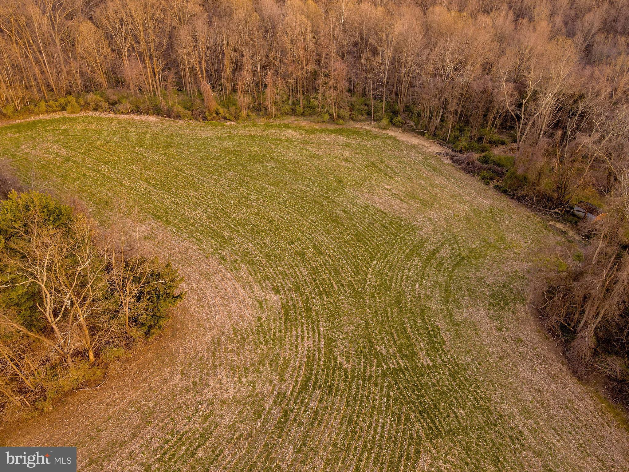Bluemount Road Monkton, MD 21111 - Photo 9 of 13