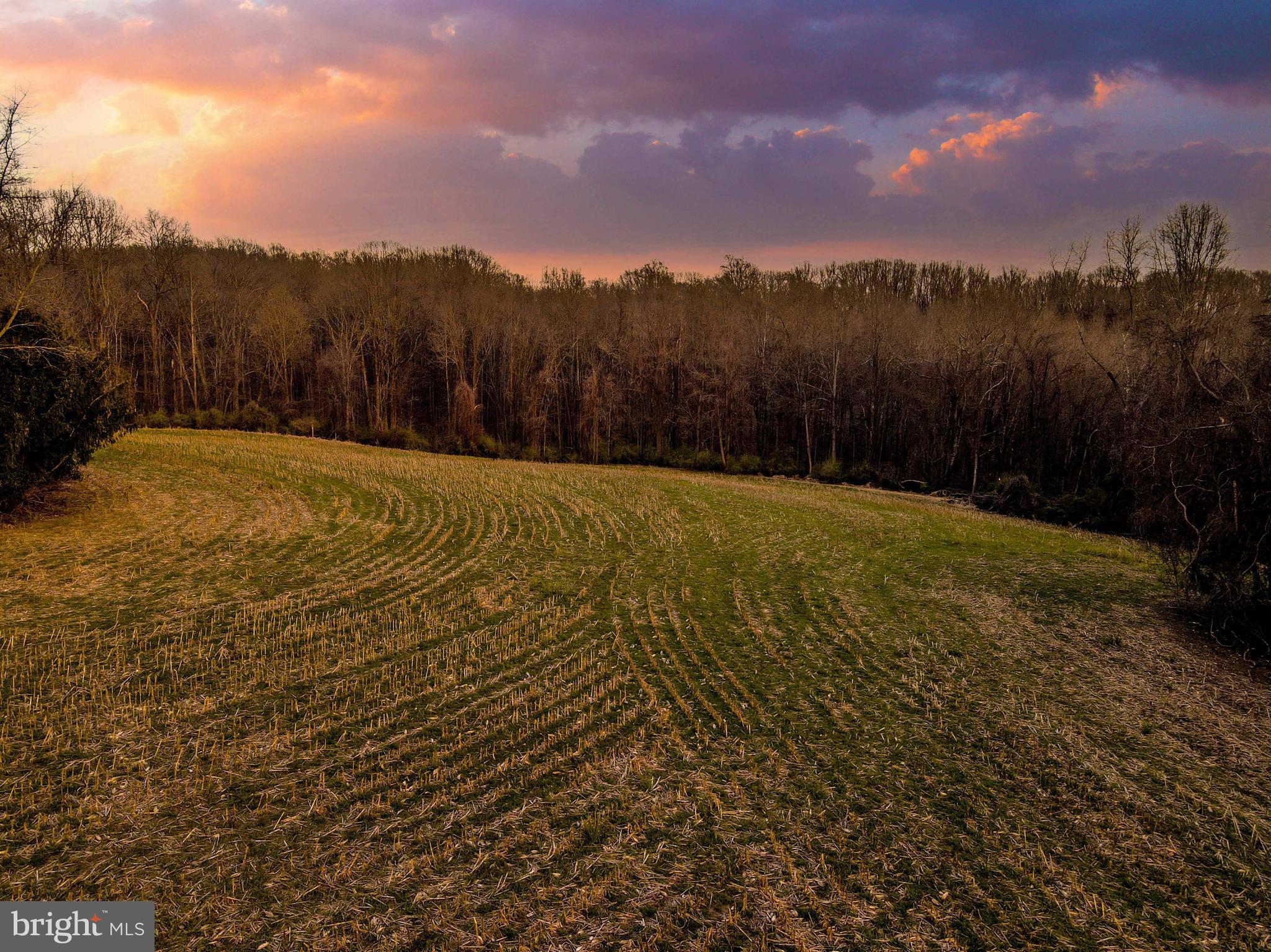 Bluemount Road Monkton, MD 21111 - Photo 10 of 13
