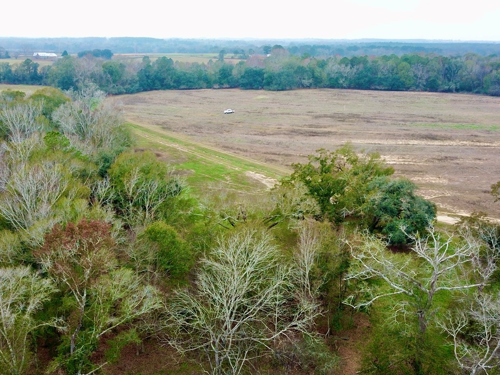 3161 Cedar Springs Road Ashford, AL 36312 - Photo 6 of 16