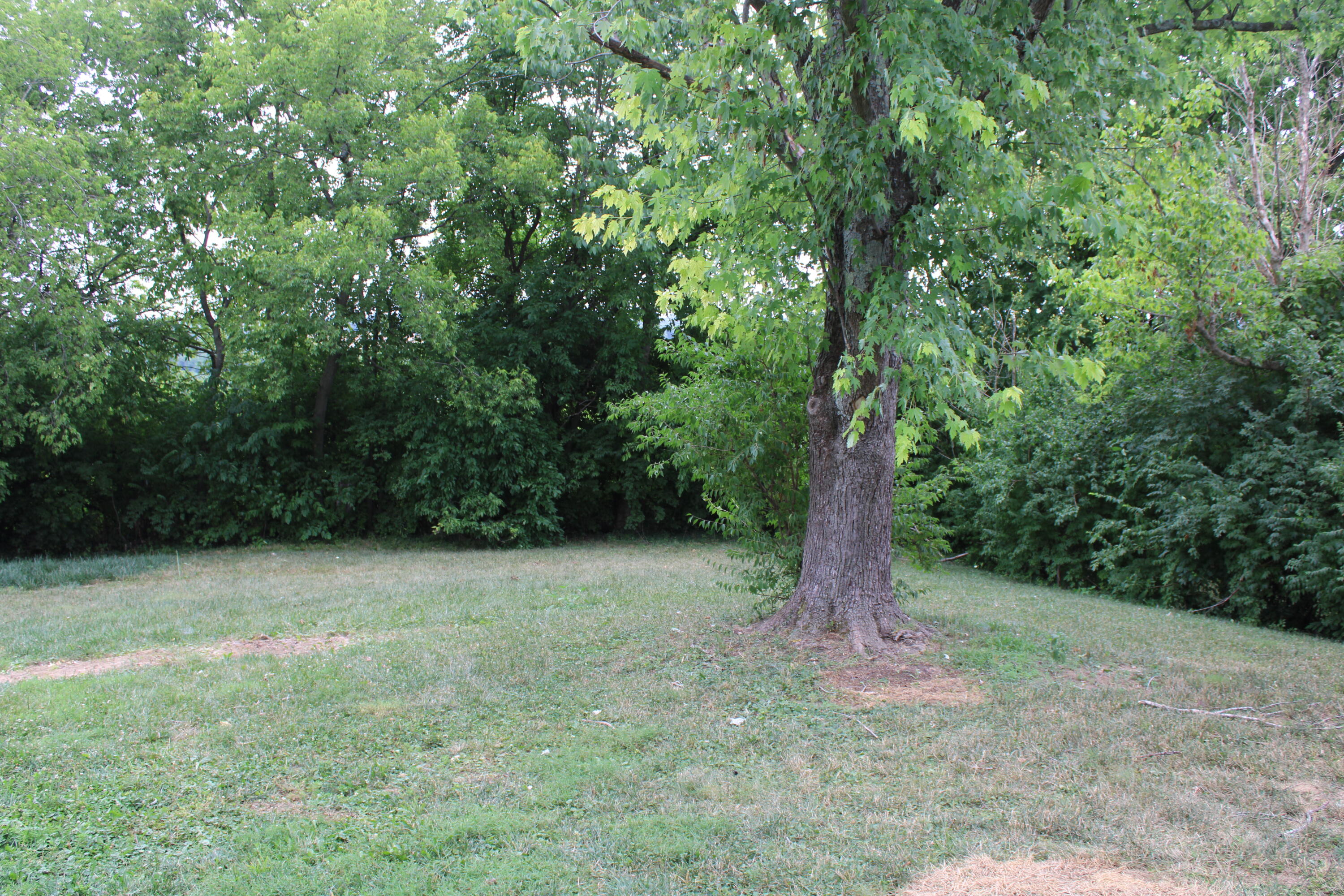 663 Bellows Mill Road Harrodsburg, KY 40330 - Photo 19 of 23 IMG_0008