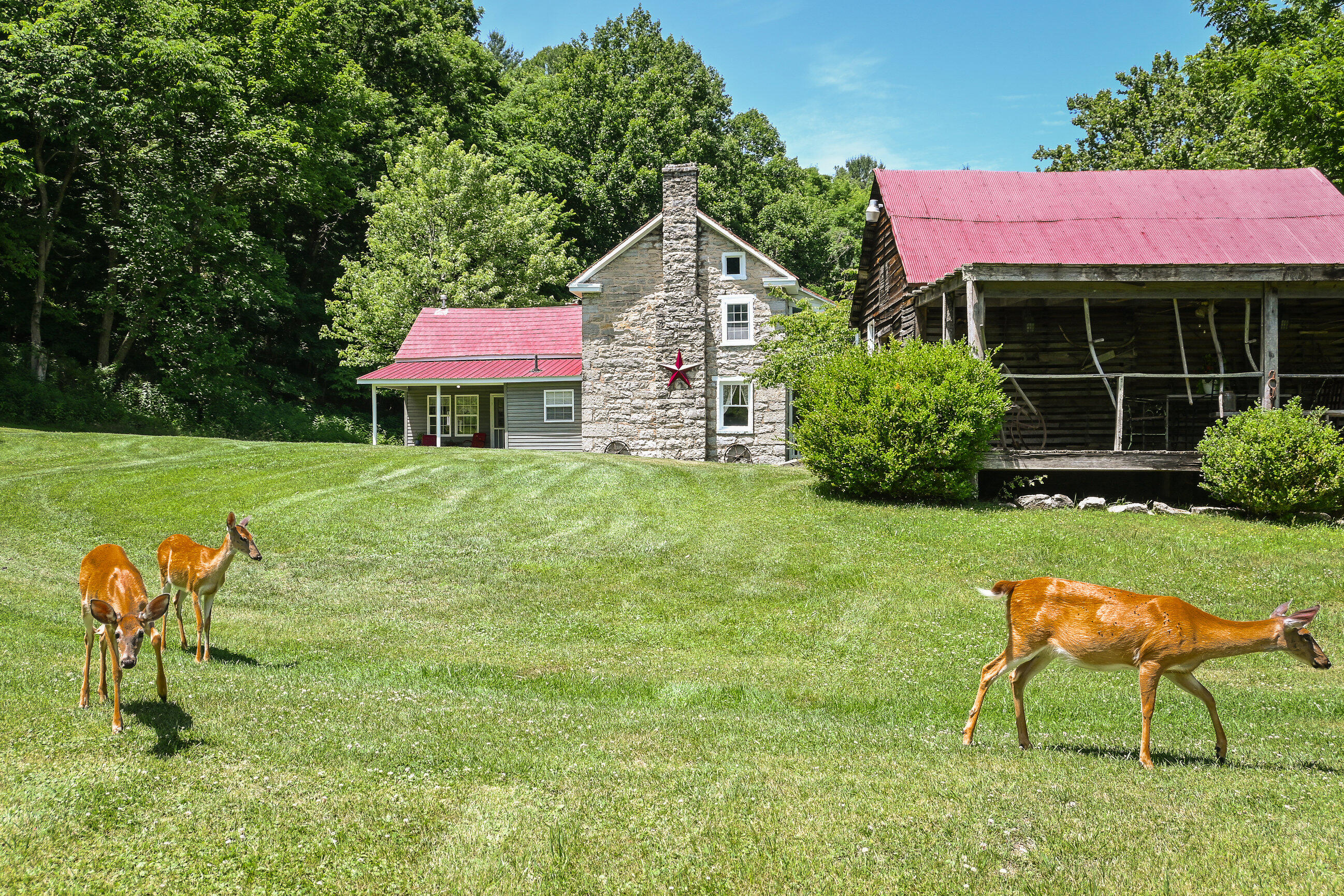 4407 Rich Patch Road Covington, VA 24426 - Photo 14 of 58 LCA_9873
