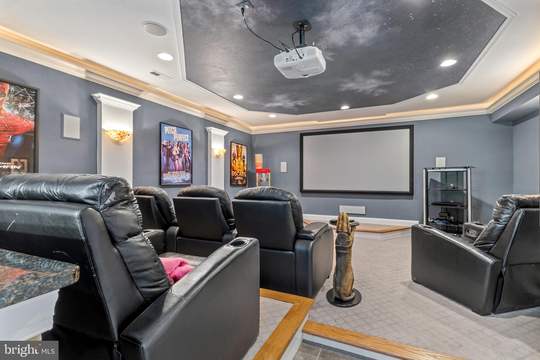 15006 Ransom Oaks Court Gainesville, VA 20155 - Photo 28 of 57 Home theater with cinematic charm.