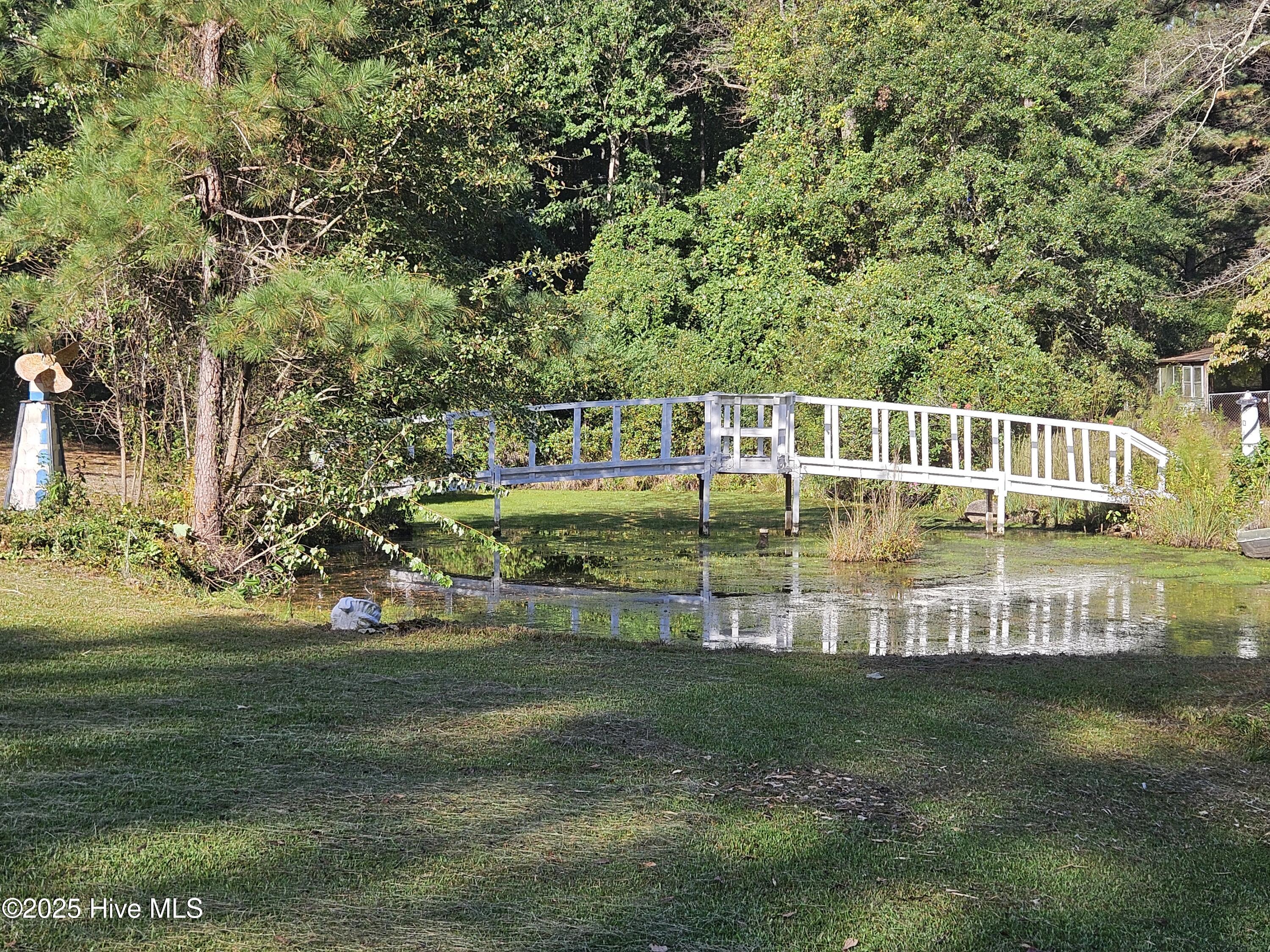 707 Ridge Drive Goldsboro, NC 27530 - Photo 4 of 5 Pond