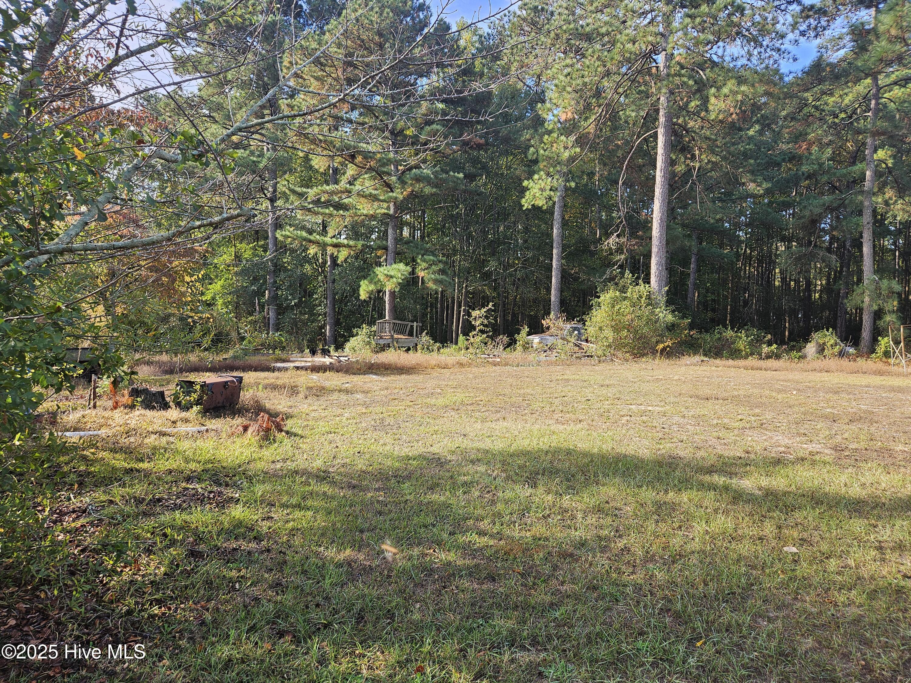 707 Ridge Drive Goldsboro, NC 27530 - Photo 5 of 5 back acreage