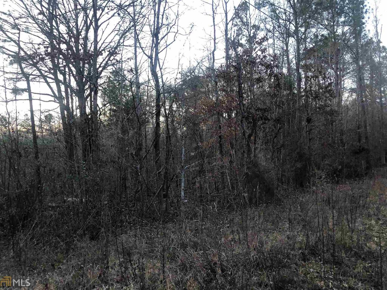 0 Cenie Road Flovilla, GA 30216 - Photo 1 of 1