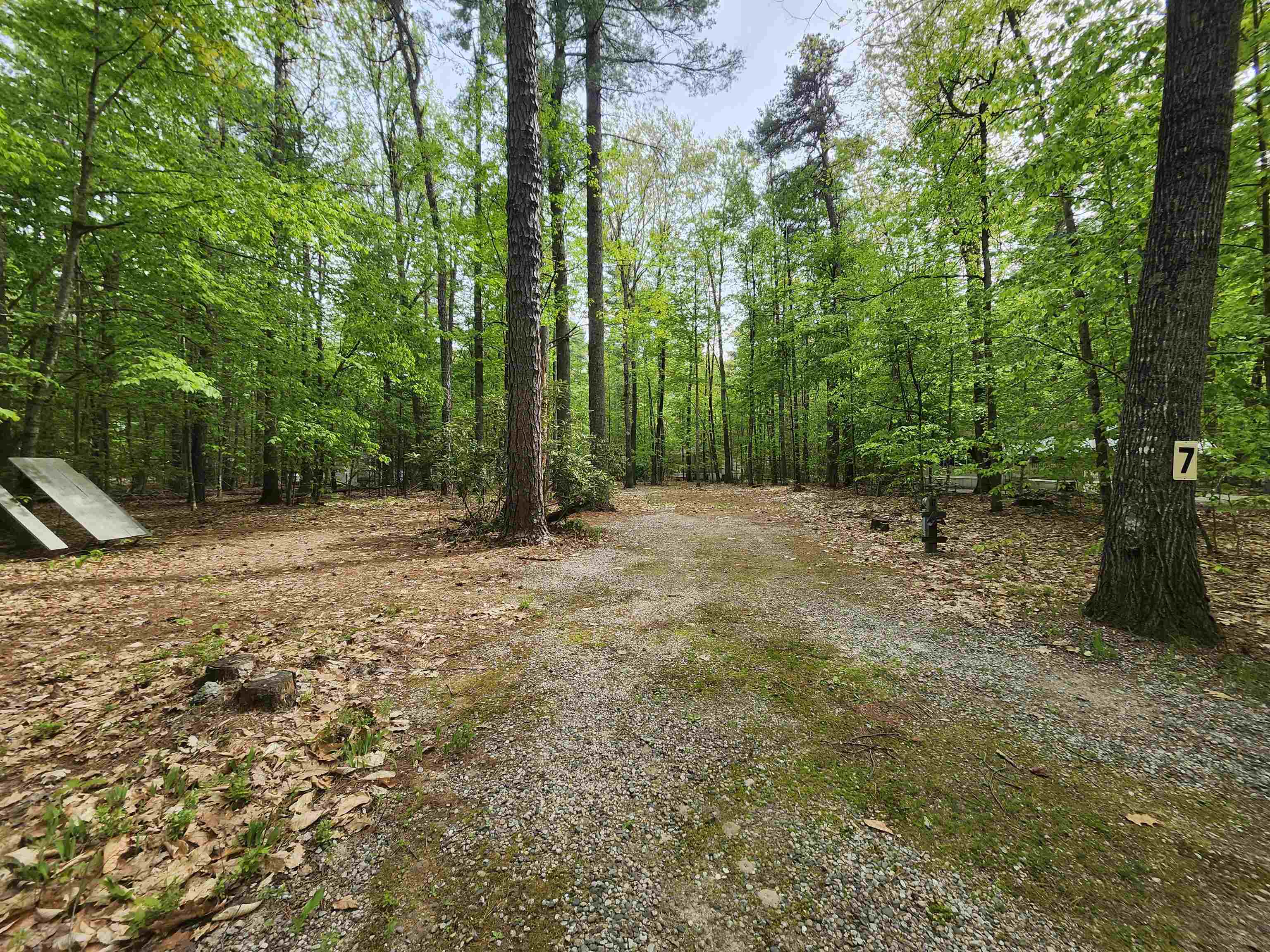 Lot 7 Pine Road East Wakefield, NH 03830 - Photo 2 of 11
