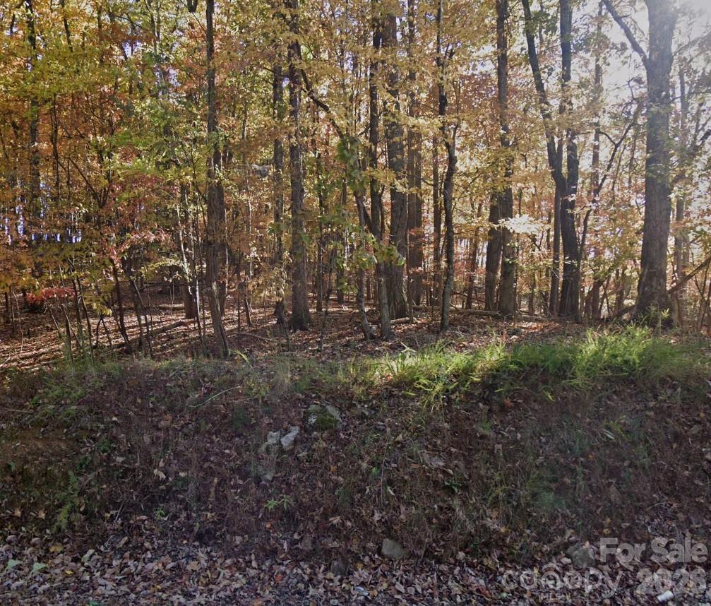 0 Chestnut Ridge Road Pilot Mountain, NC 27041 - Photo 2 of 2 a view of outdoor space with green space