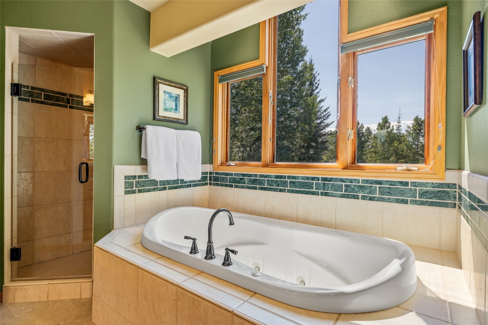 816 Spring Hill Road Steamboat Springs, CO 80487 - Photo 21 of 48 Gallery Image 21