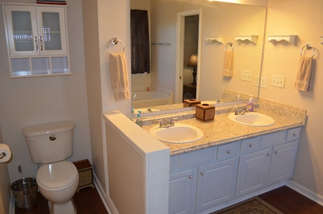 199 Orchard Ridge Drive Forsyth, GA 31029 - Photo 8 of 21 a bathroom with a double vanity sink toilet and a mirror