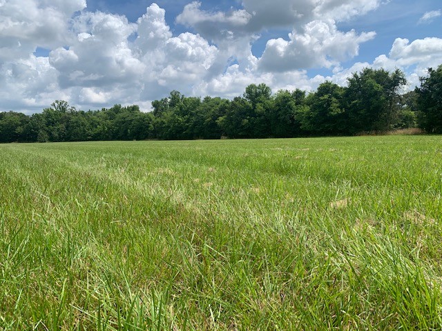 15039 Versailles Road Rockvale, TN 37153 - Photo 2 of 4 Gallery Image 2