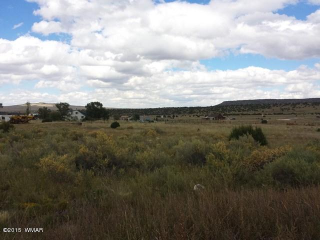 Lot 52 East Hopi Drive Springerville, AZ 85938 - Photo 1 of 7