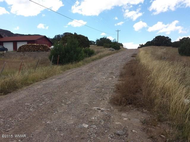 Lot 52 East Hopi Drive Springerville, AZ 85938 - Photo 2 of 7