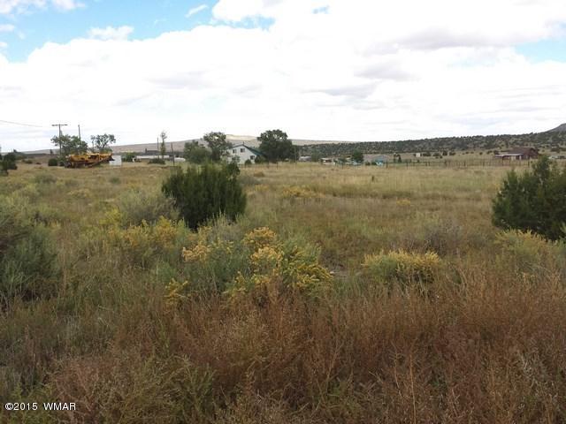 Lot 52 East Hopi Drive Springerville, AZ 85938 - Photo 3 of 7