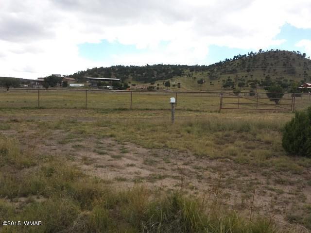 Lot 52 East Hopi Drive Springerville, AZ 85938 - Photo 5 of 7
