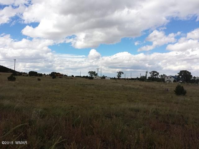 Lot 52 East Hopi Drive Springerville, AZ 85938 - Photo 6 of 7