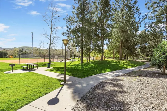 a view of a park with large trees