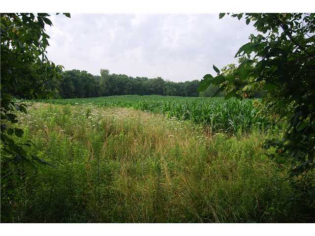 6495 Mccleery Road Baltimore, OH 43105 - Photo 4 of 13 Gallery Image 4