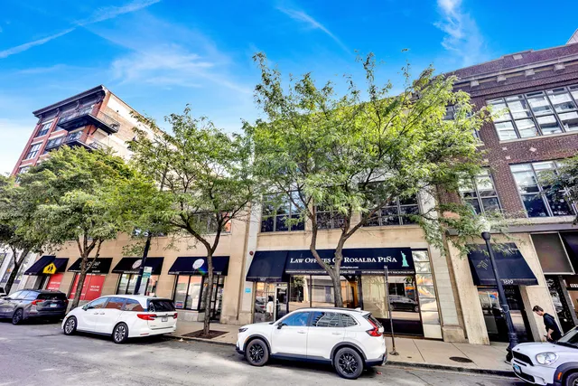 $389,000 | 1617 South Michigan Avenue, Unit 202, Chicago, IL 60616