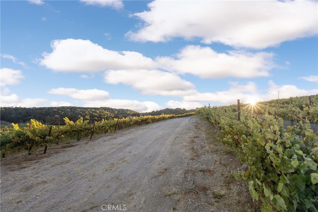 3000 Oakdale Road Paso Robles, CA 93446 - Photo 22 of 26 Northern perimeter looking east.