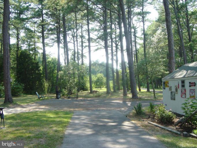 6115 Twin Point Cove Road Cambridge, MD 21613 - Photo 25 of 28 Large front yard
