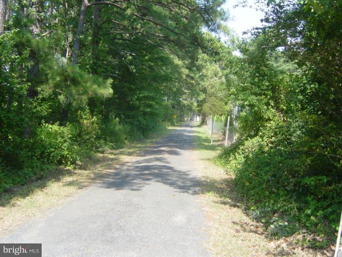6115 Twin Point Cove Road Cambridge, MD 21613 - Photo 26 of 28 Private Driveway