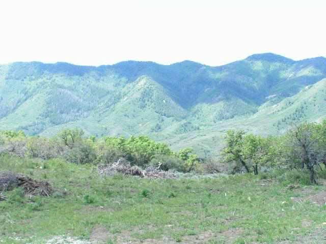 a view of a mountain range with trees in the background