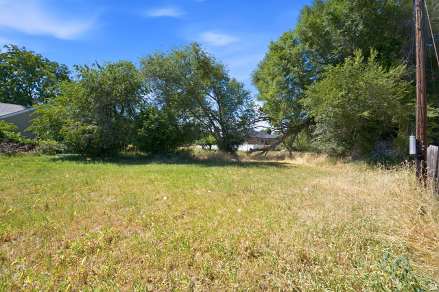 300 East S, Unit 2 Logan, UT 84321 - Photo 16 of 38 Open lot with natural landscaping and mature trees