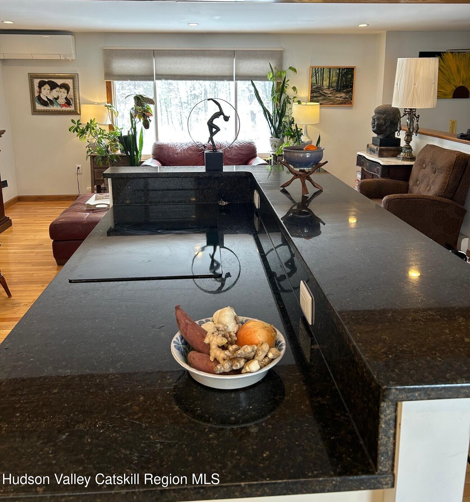 208 Sawmill Road Lake Katrine, NY 12449 - Photo 9 of 48 IMG_7140