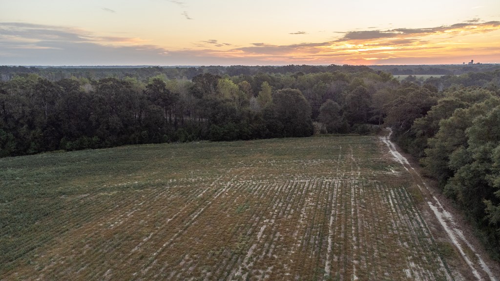 0 South County Road 83 Samson, AL 36477 - Photo 8 of 8