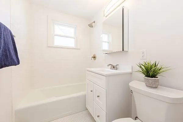 a bathroom with a sink a mirror a toilet and a bathtub