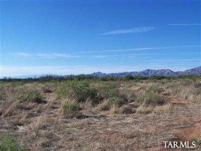 5196 East Philipps Road Willcox, AZ 85643 - Photo 15 of 16