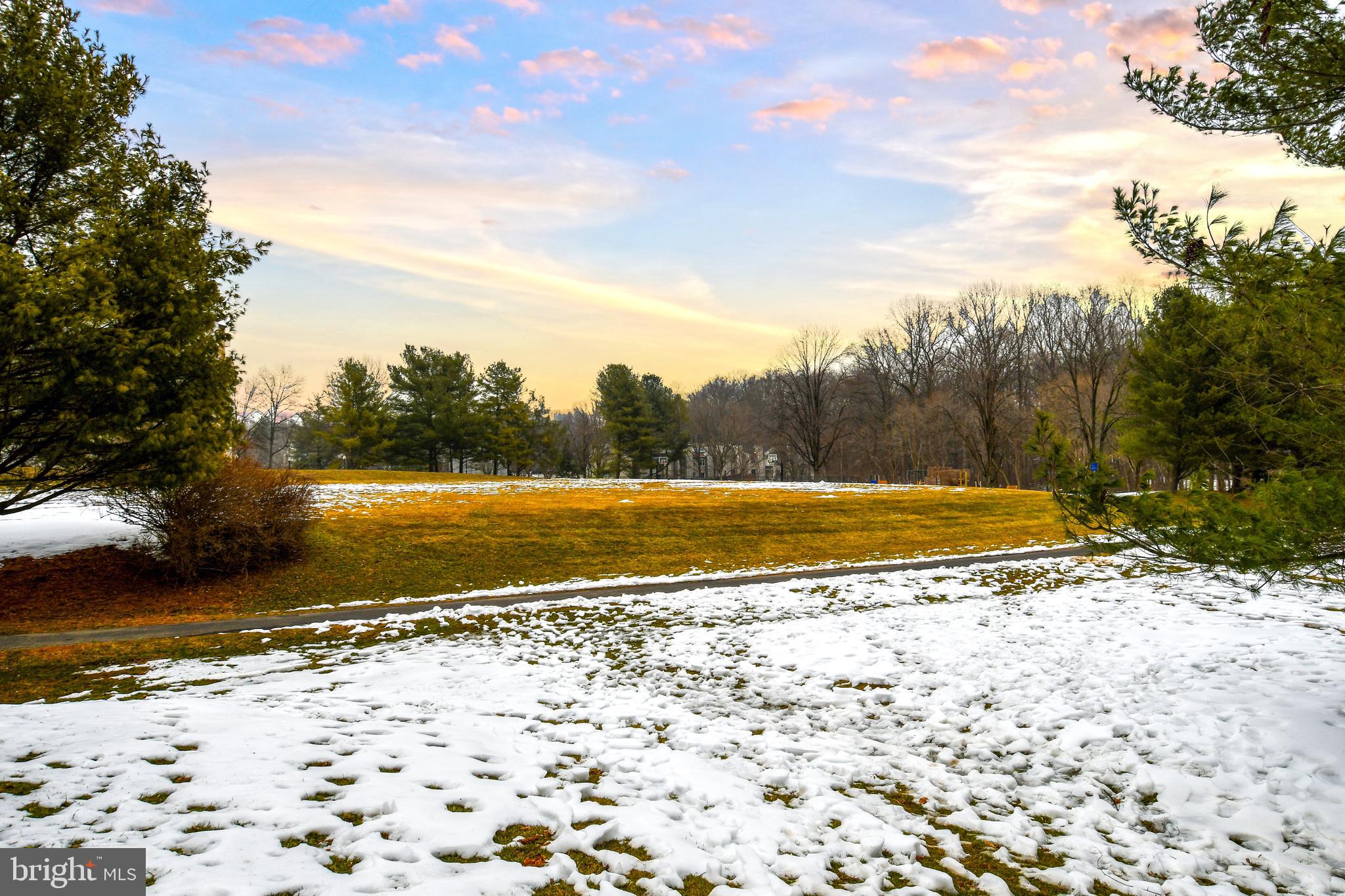 11796 Lone Tree Court Columbia, MD 21044 - Photo 39 of 45 a view of a yard with an ocean