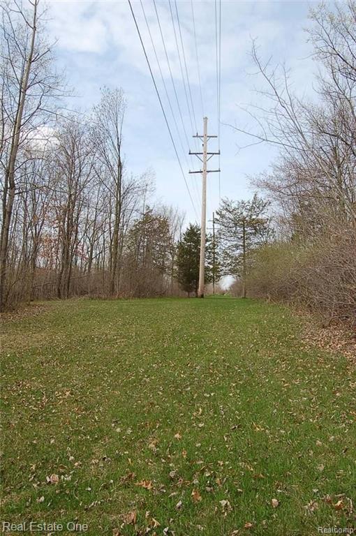 6000 Clinton Macon Road Clinton, MI 49236 - Photo 2 of 4