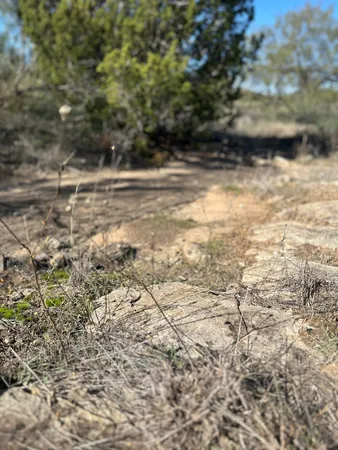 $50,000 | 102 Lot, Snyder, TX 79549